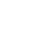 icon professional work